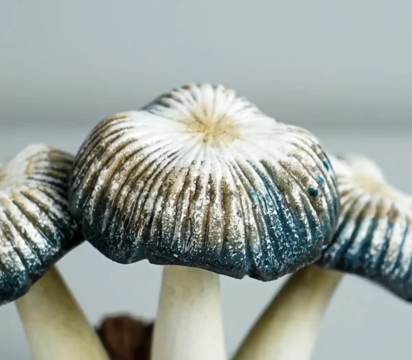 Grey Mushroom Statue, Painted Mushroom, Wood Cavin - Image 2